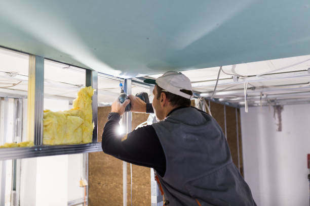 Best Spray Foam Insulation  in Weston Mills, NY