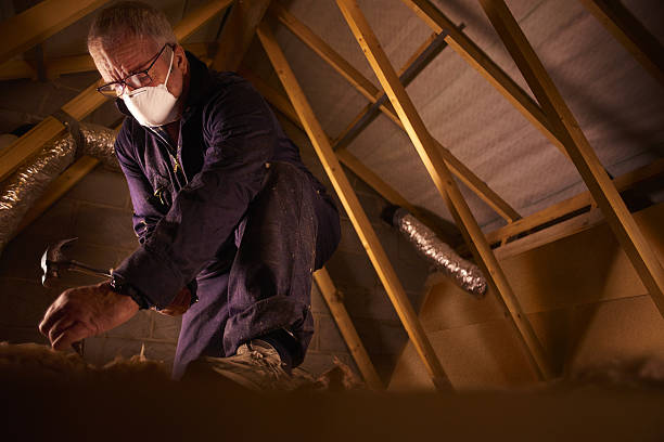 Best Insulation Removal  in Weston Mills, NY
